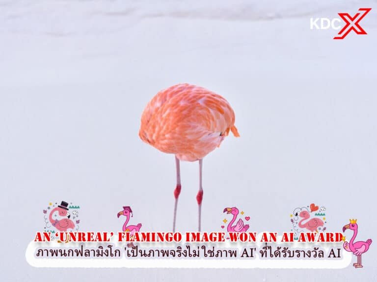 ภาพนกฟลามิงโก ‘เป็นภาพจริง’ ที่ได้รับรางวัล AI มันคือรูปถ่ายจริง ไม่ใช่ภาพ AI