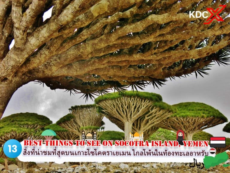 13 สิ่งที่น่าชมที่สุดบนเกาะโซโคตรา สุดไกลโพ้นในท้องทะเลอาหรับ ประเทศเยเมน