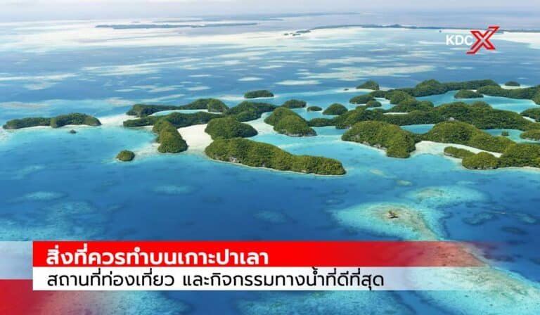 สิ่งที่ควรทำบนเกาะปาเลา: สถานที่ท่องเที่ยว และกิจกรรมทางน้ำที่ดีที่สุด