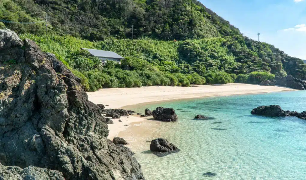 เกาะอามามิโอชิมะ