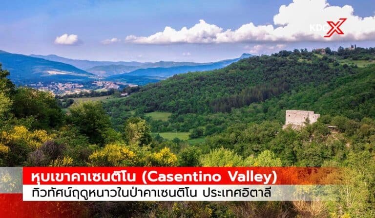 หุบเขาคาเซนติโน ทิวทัศน์ฤดูหนาวในป่าคาเซนติโน ประเทศอิตาลี